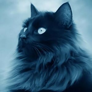 Meet your Posher, Hayley